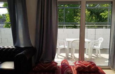 Sahara Falcon - Photo 138