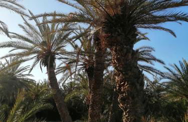 Casa Do Ma Ni, Sitia - Foto 38