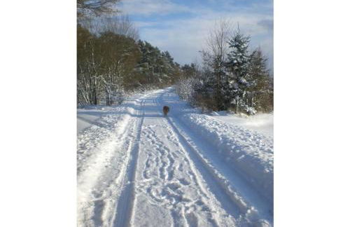Vakantie in het Dorp - Foto 43