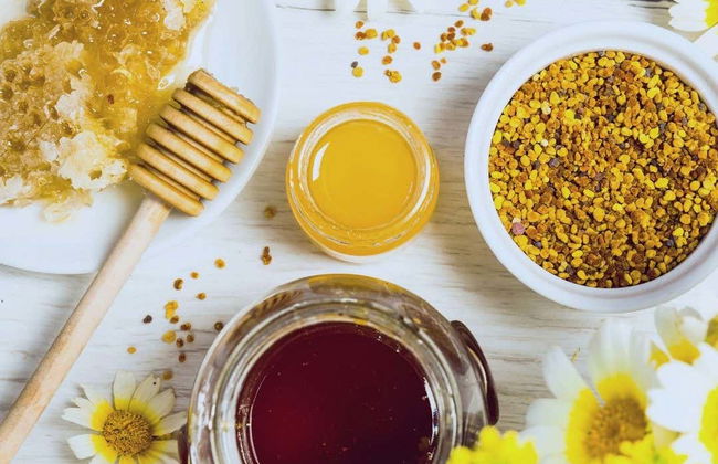 Visita a una bodega de miel - Foto 4