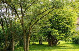 Huus an`t Dörpsdiek - Foto 46