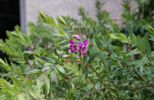 Il Lentischio holiday home - Foto 79