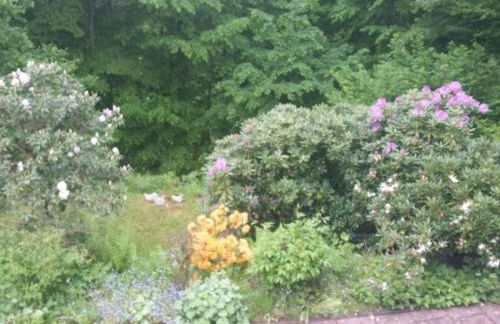 Apartment in Zendscheid mit Offenem Kamin by Interhome - Foto 19