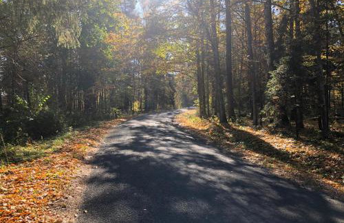 Apartament Hajstra z ogrodem - Foto 23