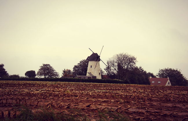 De Reus van Horebeke - Photo 37