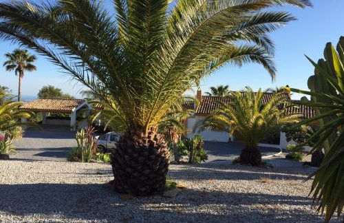 Finca Lechuza - Photo 29