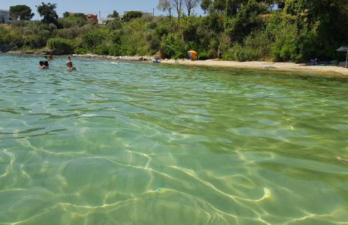 Stella's Garden - Foto 41