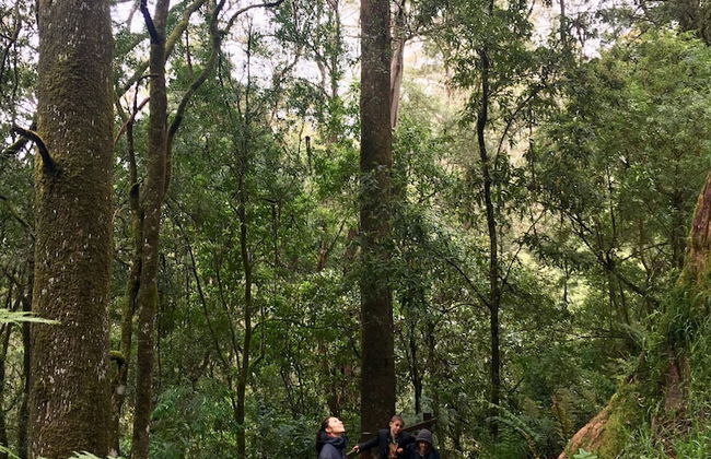 The Source Otways - Foto 22