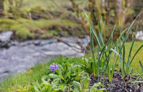 3 Bed in Bala 94600 - Photo 24