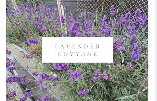 Withers Farm Apartments - Photo 11