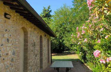 La casina nella fattoria - Foto 23