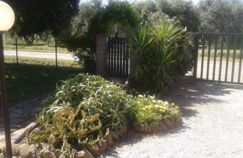 Agriturismo S. Agostino - Foto 29