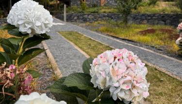 Casa do Batista - Foto 2, Garden