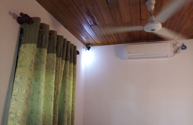 Sana Guest - Photo 3