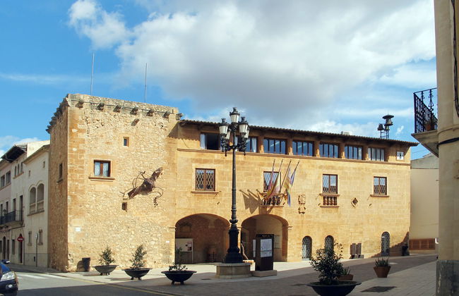 Son Viquet - Foto 44