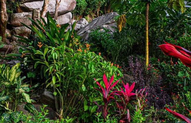 Wild Vanilla Apartment - Foto 47