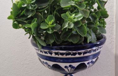 CANNETO BLU - Foto 45