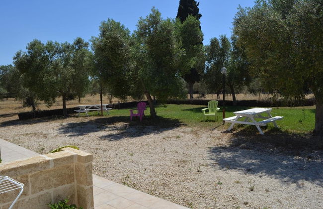 Agriturismo Terra D'Ulivi - Foto 44