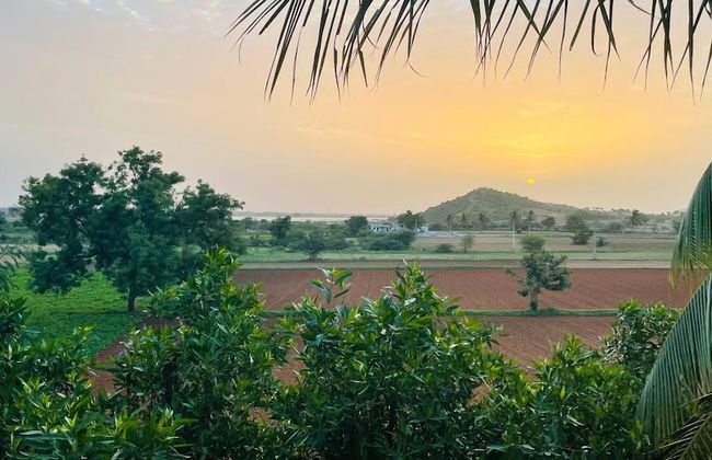 Narayani Revtree - Resort & Villa - Foto 33