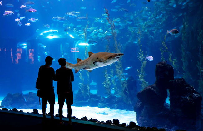 Gran Canaria Tour - Foto 4