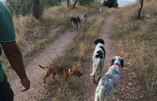 Setter House Agri Hotel - Foto 52