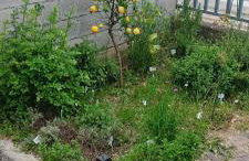 Da Jack, Apartment with garden and parking, Penne Ideal for families and pets - Foto 33