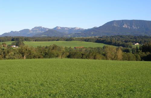 Gschwingerhof - Foto 15