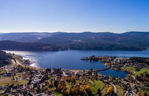 Kurhotel Schluchsee Apartment 1207 - Photo 22