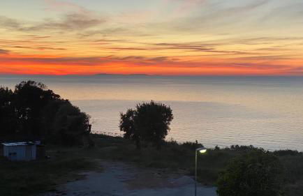 Belvedere Home - Foto 36