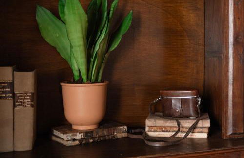 Casa Da Avo Genoveva - Foto 49