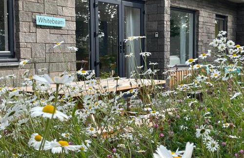 Whitebeam, Moor and Sea Holidays, beautiful views over Exmoor - Foto 1