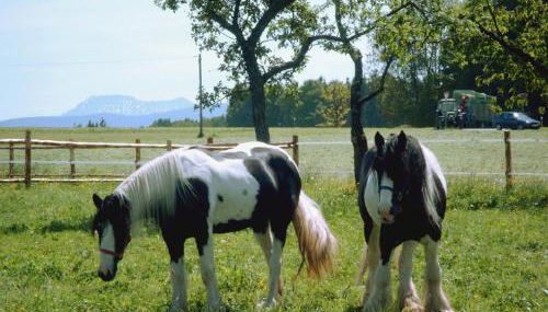 Ferienwohnung Held - Photo 3