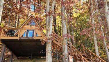 Rustic Tree A-Frame with Original Design by Tappan Lake in Ohio - Foto 3