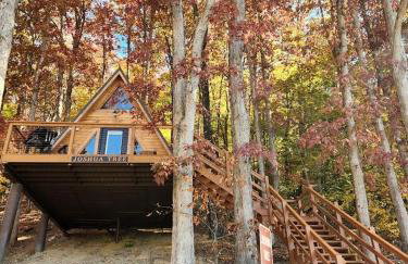 Rustic Tree A-Frame with Original Design by Tappan Lake in Ohio - Foto 3