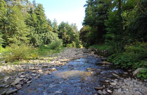 La Casetta di Noah - Foto 52