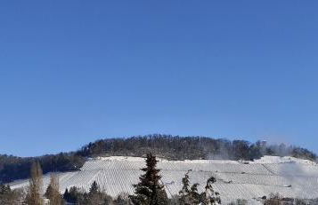 Ferienwohnung Kerstin Grambow - Foto 12