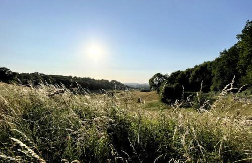 Beautiful old bank in Bakewell - Photo 17