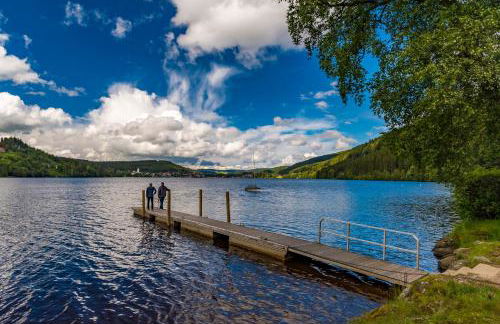 Gästehaus Sonnenheim, Friedenweiler, Titisee - Foto 23