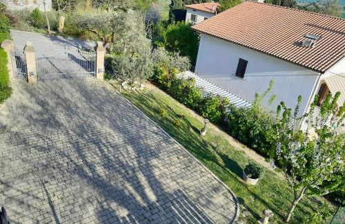 Le Rondini - Foto 15