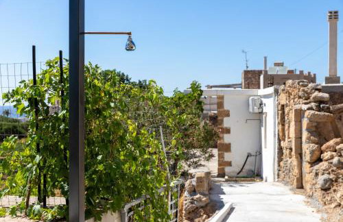 Thea Studio - Foto 13