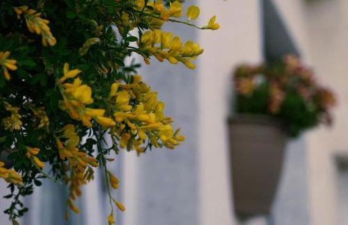 Vesuvio Home Capodichino Blu - Photo 13