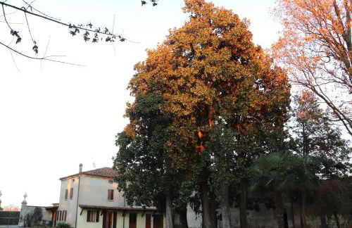 Le Magnolie Agriturismo - Foto 14