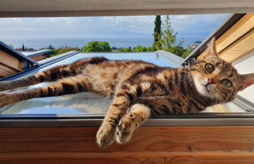 Villa Flora - Foto 11