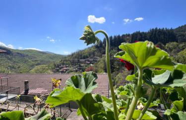 Casa Nanda Badia Prataglia - Foto 8