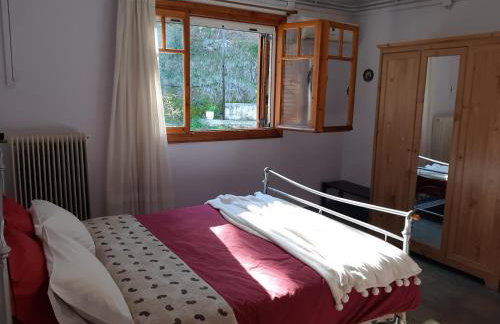 Σπίτι σε ελαιώνα, house in an olive grove - Foto 15