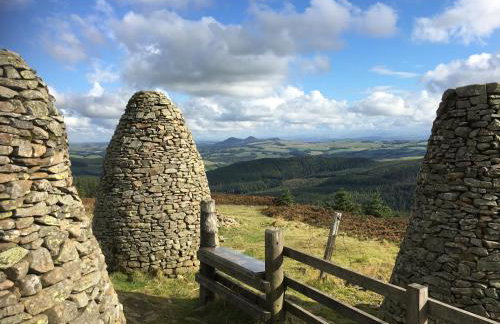 Yairbrig Holiday - Foto 38