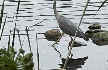Ferienhaus unter Reet im Heidedorf Sankt Dionys bei Lüneburg - Foto 17