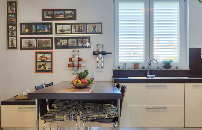 Salamander - Foto 11