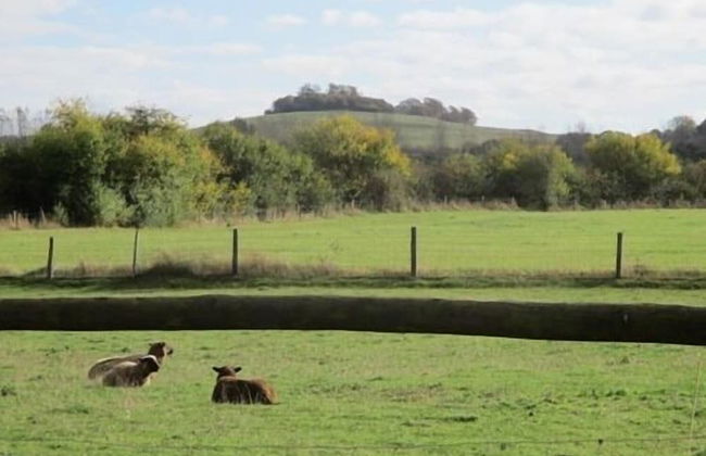 The Red Barn - Foto 12