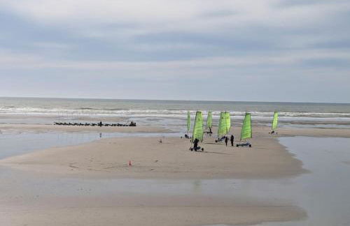 Evasion Plage - Appartement lumineux plein centre et 150m plage - Foto 17